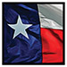 Texas Flag