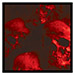 Red Skulls